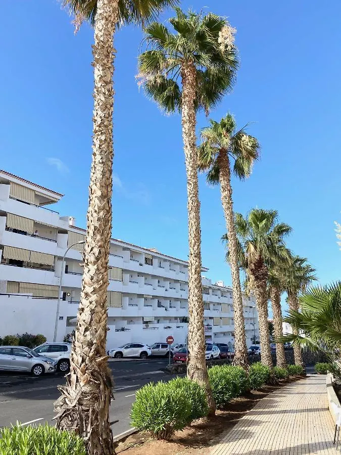 Apartment Aloha Summerland Vip Studio Sea & Pool View Los Cristianos  Spain